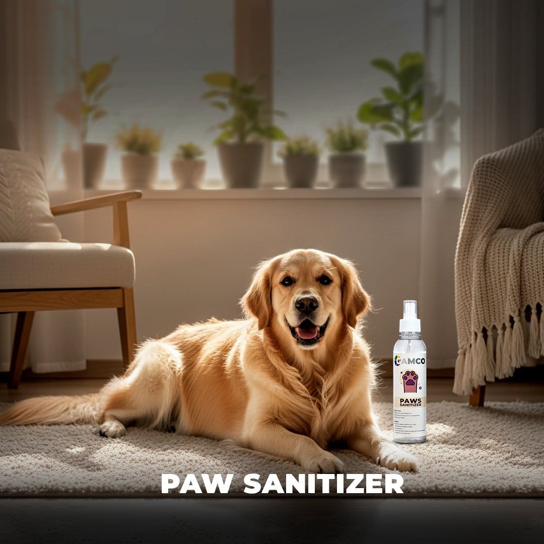 GAMCO Store golden retriever dog lying on a rug next to a bottle of colorless paw sanitizer spray.