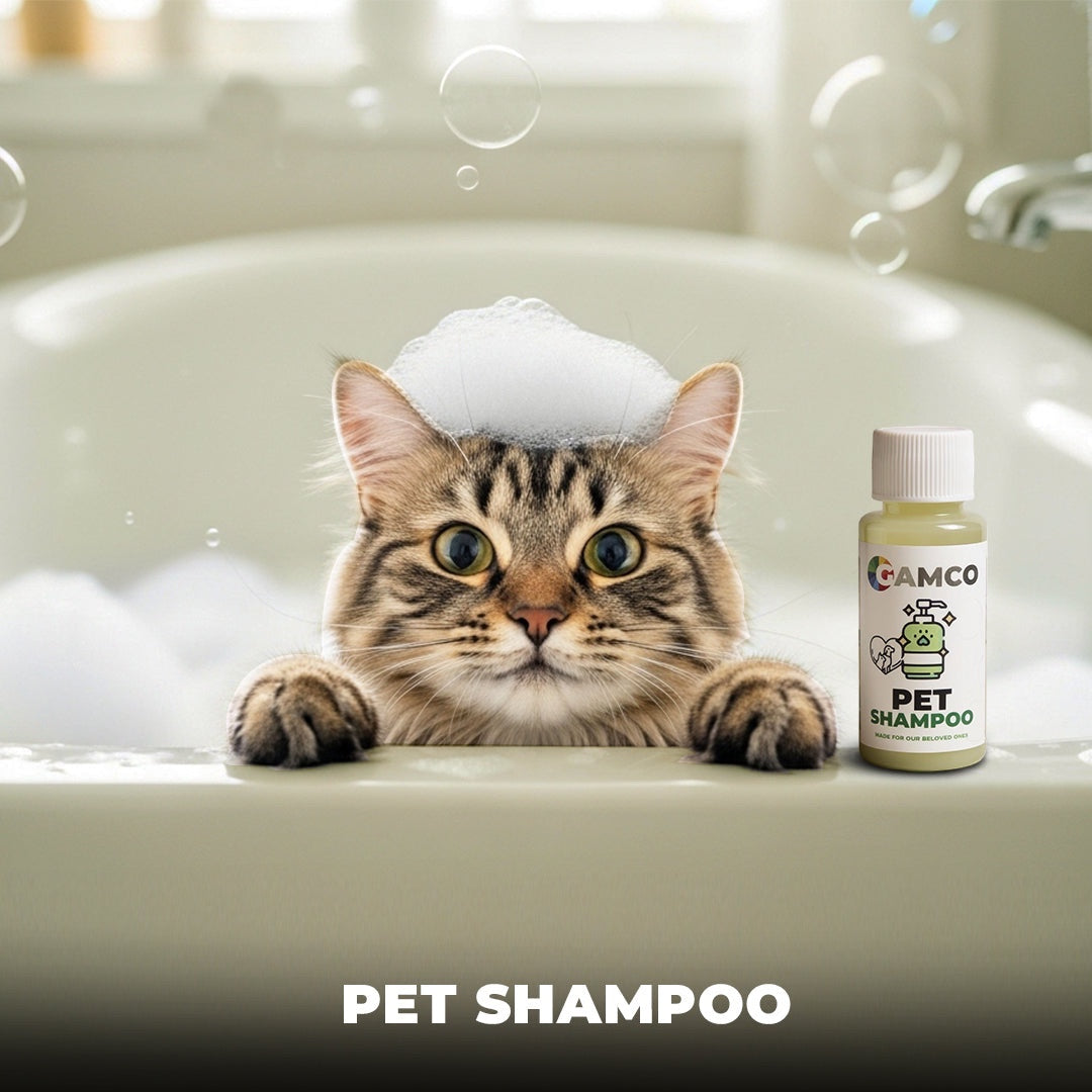 GAMCO Store pet shampoo bottle next to a fluffy cat with soap on its head in a bathtub.